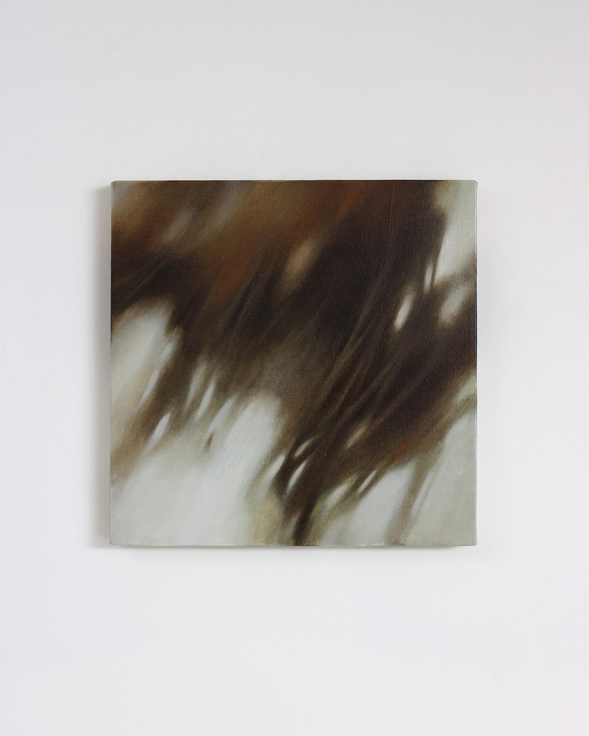 Zasłyszane we śnie